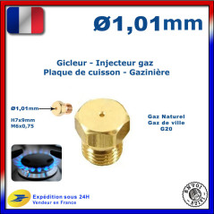 Gicleur Gaz de Ville et Gaz Bouteille 1.01mm Cuisinière Plaque de Chauffe de marque BEKO