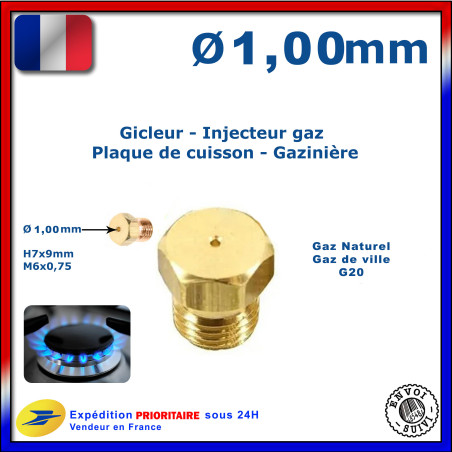 Injecteur gaz ou gicleur gaz de 1,00mm pour cuisinière STOVES