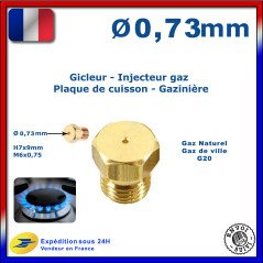 Gicleur gaz de ville 0.73mm 0,73mm cuisinière plaque cuisson