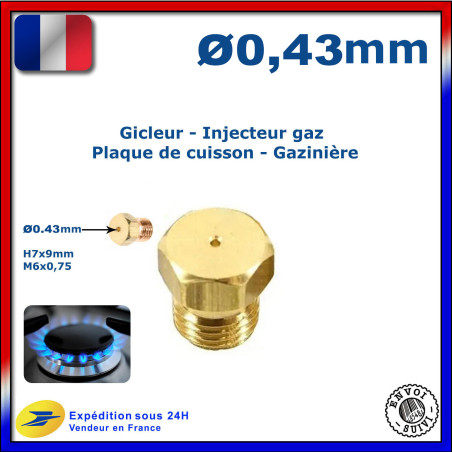 Injecteur gaz ou gicleur gaz de 0,43mm pour cuisinière LEISURE